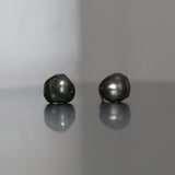 Luidia Pearl Studs