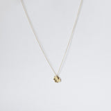 Luidia Disk Necklace