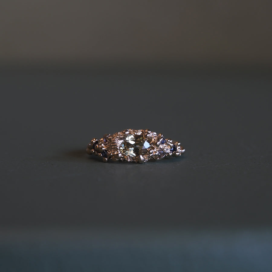 Rockpool Ring