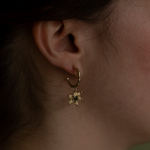 Starfish Earrings