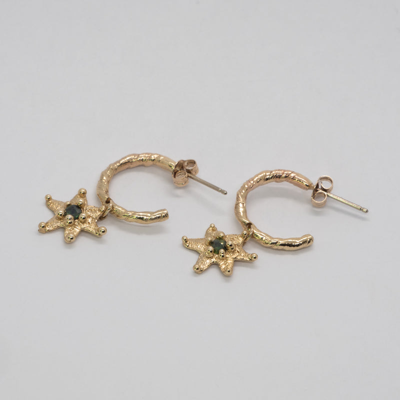 Starfish Earrings