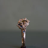 Sapphire Coral Reef Ring